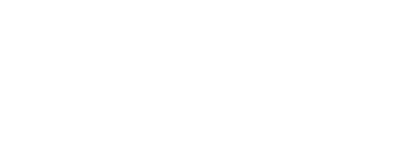 Insurance Innovators Nordics logo