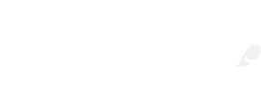 Capgemini logo white
