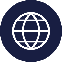 INE20 World Icon
