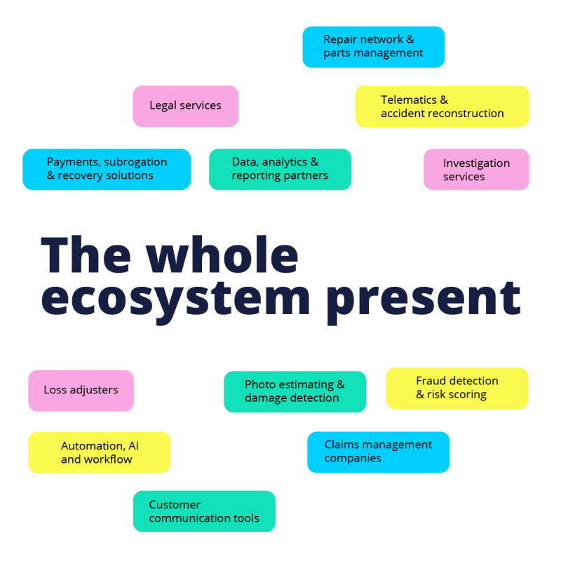 INE19_Ecosystem
